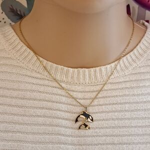 Gold and Black Dolphin Orca Duo Necklace